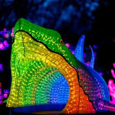 Boston Lights A Lantern Experience Franklin Park Zoo In 2020 Franklin Park Zoo Franklin Park Zoo