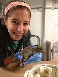 National Merit Scholarship Corporation