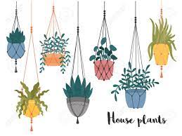 Set Of Macrame Hanging Plants In Pots Hangers With Potted Indoor Royalty Free Cliparts Vectors And Stock Illustration Image 127708663 Hang the holders at varying heights and use an assortment of flowers. set of macrame hanging plants in pots hangers with potted indoor