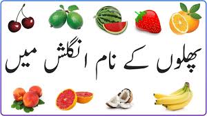 O mundo do garena free fire está aqui, atualizações, códigos, notícias, dicas e mais! Fruits Name In English And Urdu Ù¾Ú¾Ù„ÙˆÚº Ú©Û' Ù†Ø§Ù… Phalon Ke Naam Youtube