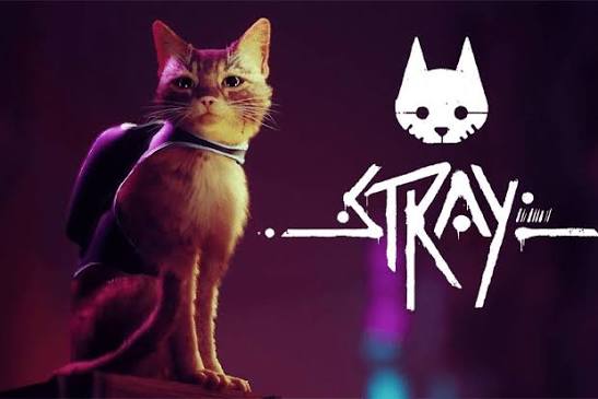 Stray's Visual Overhaul and New Features Debut for Nintendo Switch 2 source image