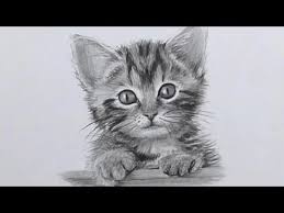 Le Dessin Realiste Est Une Source D Inspiration Et D Admiration Pour Tous C Est Le Style De Dessin Le P Dessin Chaton Comment Dessiner Un Chat Dessin De Chien
