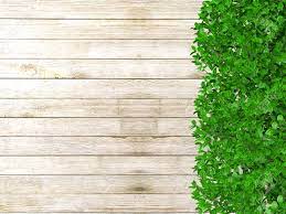 Minimal flat lay of genuine wood background with white orchids. White Wooden Board Background With Green Plant Leaves Wooden Stock Photo Picture And Royalty Free Image Image 58625368
