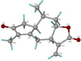 Image result for Pechuel-Loeschea leubnitziae