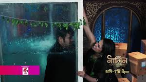 Naagin season 2 24th december 2016 written episode, written update on tellyupdates.com. Naagin Posts Facebook