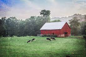 We are your complete pet feed and supplies source. Red Barn And Cows Landscape Photography Photograph By Jennifer Rigsby