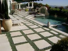 Dymondia Planted Between Pavers This Ground Cover Grows Slowly And Needs No Water Once Establishe Low Maintenance Landscaping Backyard Remodel Landscape Plans