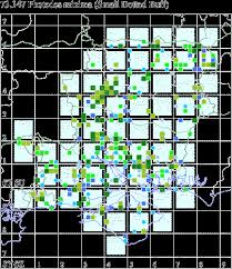 Image result for Photedes minima