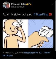 Top 10 funniest carole baskin memes subscribe to top 10 central: Tiger King Memes Carole Baskin Song