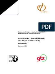 Bank account interest rates and apys. Case Study Bri Indonesian Rupiah Central Banks
