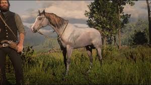 White arabian horse rdr2 stats. Everyone Is Talking About The White Arabian But I Haven T Seen Anything About This Pinkish Grey One Reddeadredemption2