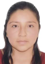 Ingresos de Otorongos Elecciones 2022