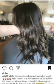 Mushroom Brown Hair Brown Hair Balayage Balayage Hair Hair Color Balayage