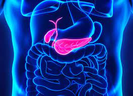 Pancreatic cancer has the lowest survival rate of the common cancers, with 7.3 per cent of patients alive five years after diagnosis, … Pancreatic Cancer Dr Rabaa Alhajeri Center For Family Medicine Diabetes