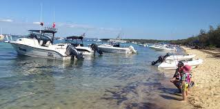 Good rates and no reservation costs. Daytrips And Cruising On Moreton Bay Boat Gold Coast