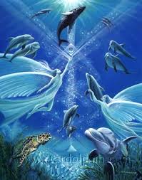 Star Dolphin Gallery Dolphin Realm 57 Bringing Heaven To Earth Dolphin Art Dolphins Whale