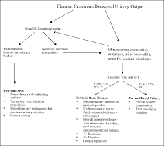 The cause of ckd has important implications for the risk of end stage renal disease (esrd) and other complications. Acute Renal Failure Management In The Neonate American Academy Of Pediatrics