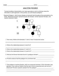 Female, unaffected female, affected male, unaffected male, affected Pedigree Practice By Biology Roots Teachers Pay Teachers