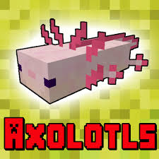 The first thing you'll need if you're planning on making your own army of axolotl, is a bucket. Axolotls Mod For Minecraft Pe Apk 7 1 Download Apk Latest Version