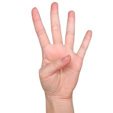 4本指の手 | otete picture