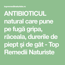 Antibioticul Natural Care Pune Pe Fugă Gripa Răceala Durerile De Piept Si De Gat Top Remedii Naturiste Naturale Cose