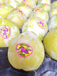 Emerald Beaut Pluot Medium Plus 4pcs Momobud
