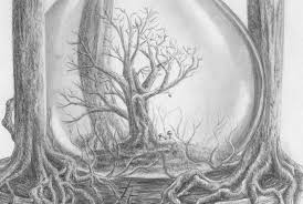 Lukas las ein buch über blumen und bäume. Laub Baum Zeichnen Lernen Zeichenkurs