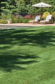 We excel at working with clients to create landscape designs that meet their specific needs. Looking For The Best In Lawn Care Next Season Borst S Organic Lawn Care Will Keep Your La Backyard Landscaping Designs Backyard Landscaping Landscape Services