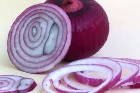 By kakakid posted on january 18, 2021. Tumbuhan Yang Berkembang Biak Dengan Umbi Lapis Dan Contohnya Semua Halaman Kids