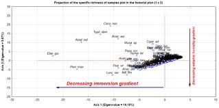 Image result for Pavetta macrosepala