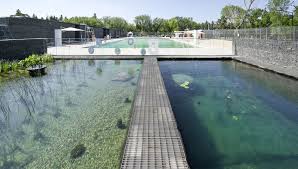 Freibad Ohne Chemie Naturpool In Edmonton Von Gh3 Naturschwimmbader Naturschwimmbad Aussenpool
