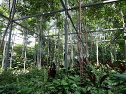 The hotel has an outdoor pool, fitness centre and meeting facilities on. Acappella Suite Hotel In Shah Alam Malaysia Lets Book Hotel