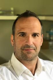 Organizational Structure