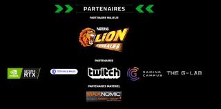 Bienvenue sur le compte officiel de la z lan par @zerator et @zqsdproductions ! La Zlan A Genere 1 8 Millions D Euros De Retombees Sport Strategies