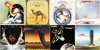 Music inspired by the snow goose год/year: So What S Your Favourite Camel Album The Sound Machine