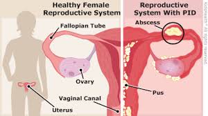Pin On Np Women S Health