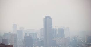 Apr 7, 2016·1 min read. Modificaran El Hoy No Circula Debido A La Contingencia Ambiental