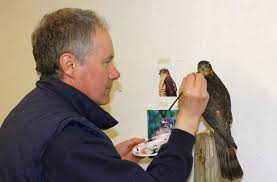 Image result for taxidermist hawick