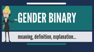 Olezeski, phd, director of yale gender fluid: What Is Gender Binary What Does Gender Binary Mean Gender Binary Meaning Definition Explanation Youtube