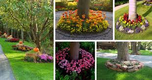 How to pick the right plants for a tree space? 15 Amazing Ideas For Decorating The Landscape Around The Trees The Art In Life