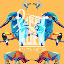 Kingfishers: The Halcyon Love Birds - Howler Media - Click Real Escapes