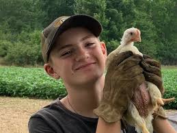 12-year-old Wellington boy not 'chicken' when it comes to running his own  farm business(es)