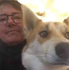 Musher's Secret application tips for dogs