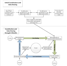 Wee Baby Care Flow Chart For Care Coordination And Data