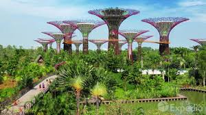 Singapur'da para birimi olarak singapur doları kullanılıyor. Singapore City Video Guide Youtube