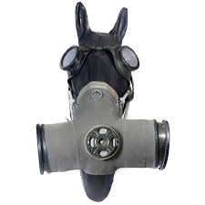 Allied and german world war one gas masks at the australian war memorial highlight the progression of designs to protect from poisonous gas (photo taken during my january 2016 visit). Horse Gas Mask 1950s 1960s