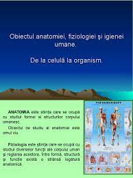 De la celula la organism. De La Celula La Organism