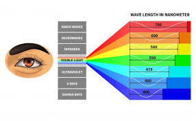 Visible Light Spectrum Template Visible Light Spectrum Visible Light Color Wave