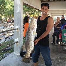 Самые новые твиты от remy ishak (@remy_ishak): Remy Ishak Jadi Nelayan