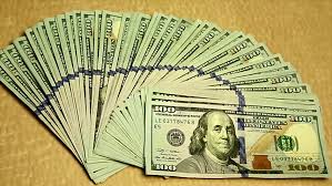 Image result for pig with 100 dollar